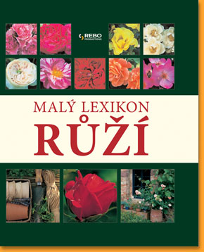 -Maly-lexikon-ruzi