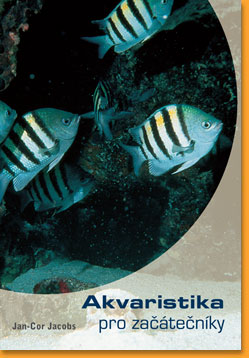 Akvaristika-pro-zacatecniky