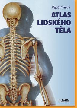 Atlas-lidskeho-tela