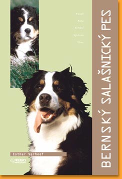 Bernsky-salasnicky-pes