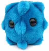 Bezna-ryma-(Rhinovirus)
