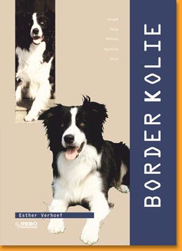 Border-kolie