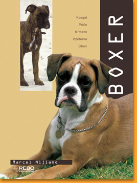 Boxer