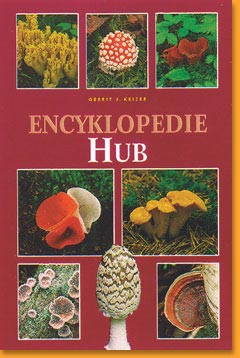 Encyklopedie-hub