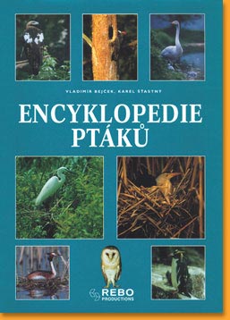 Encyklopedie-ptaku