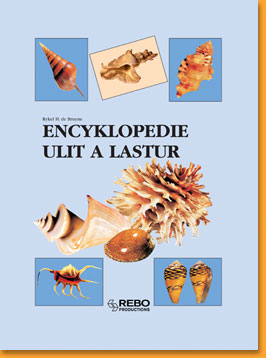 Encyklopedie-ulit-a-lastur