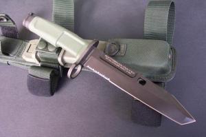 FULCRUM-BAYONET
