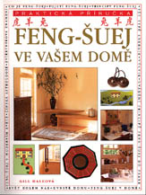 Feng---Suej-ve-vasem-dome
