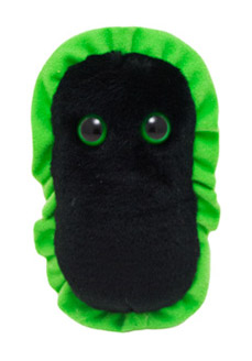 Gangrena