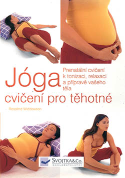 Joga--cviceni-pro-tehotne