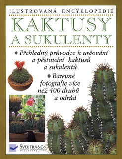 Kaktusy-a-sukulenty