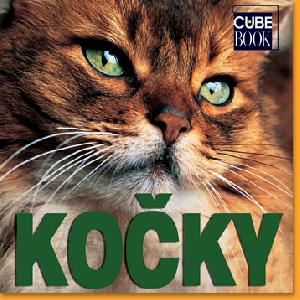 Kocky