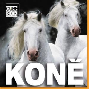 Kone