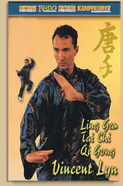 LING-GAN-TAI-CHI-Vincent-Lyn