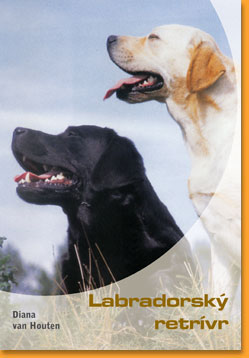 Labradorsky-retrivr