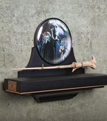 Lord-Voldemort-Wand-Wall-Display