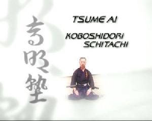 MUSO-JIKIDEN-EISHIN-RYU-Iai-Jutsu