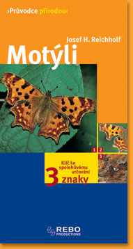 Motyli