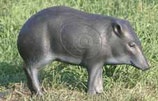 PECARI