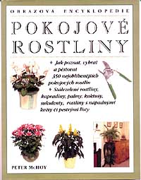 Pokojove-rostliny