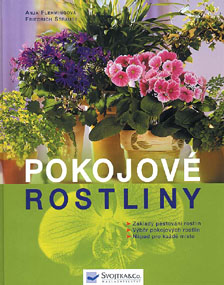 Pokojove-rostliny