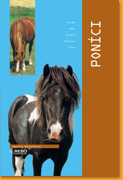 Ponici