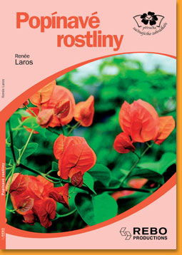 Popinave-rostliny
