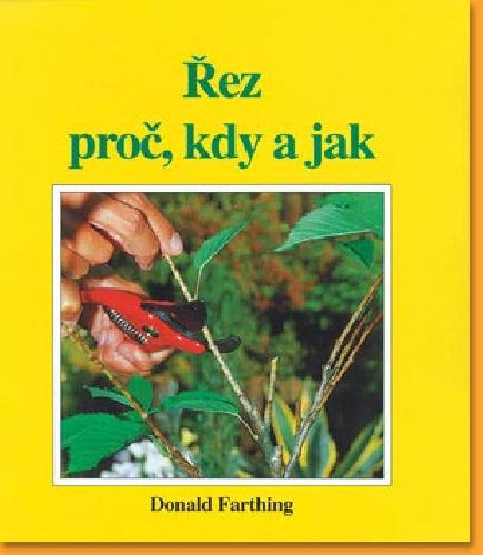 Rez-proc-kdy-a-jak
