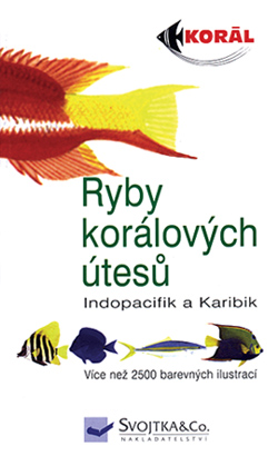 Ryby-koralovych-utesu