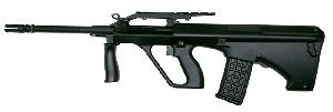 STTi-(s)-AUG-Police-DEK