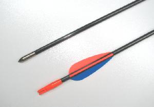 Sip-Beman-Carbon