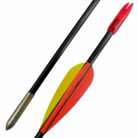 Sip-carbon-31-Big-Archery-Medium