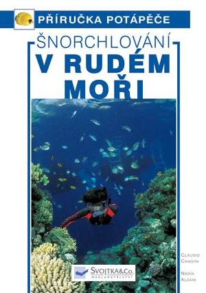 Snorchlovani-v-Rudem-mori--pruvodce-podmorskych-svetem