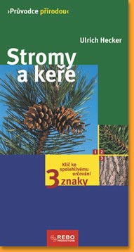 Stromy-a-kere