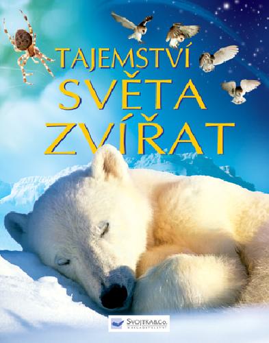 Tajemstvi-sveta-zvirat