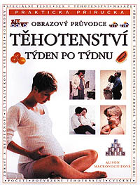 Tehotenstvi-tyden-po-tydnu