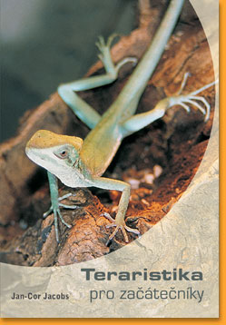 Teraristika-pro-zacatecniky