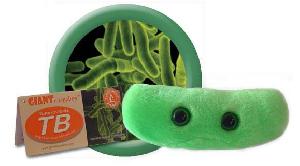 Tuberkuloza-(TB)