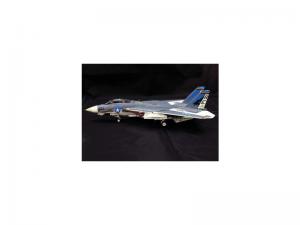 Witty---F-14A-Tomcat-VF-143-USS-AMERICA-1977
