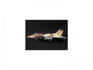 Witty---F-14A-Tomcat-VF-24-Renegades-Camel-Smoker