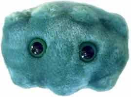 Zapach-z-ust-(Porphorymonas-gingivalis)