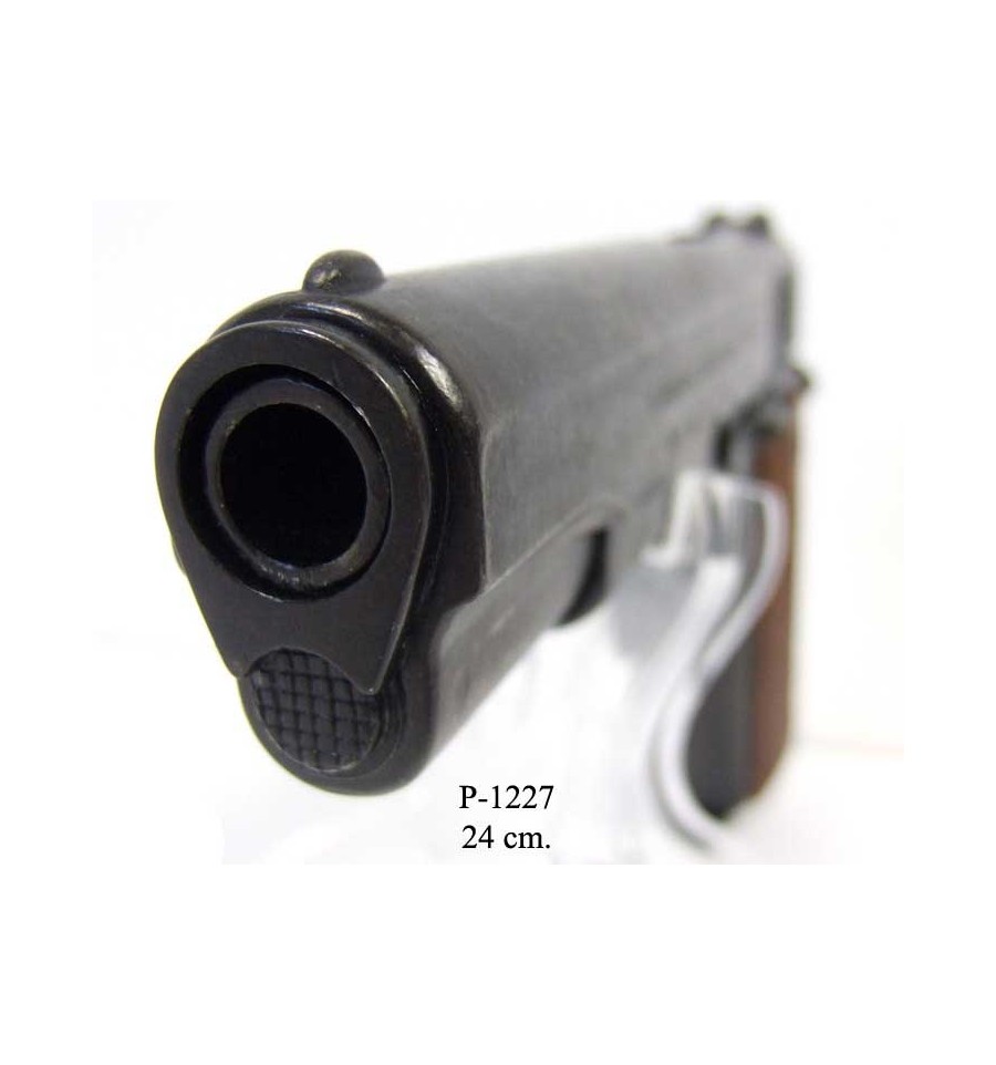 foto Colt 45 Goverment 1911