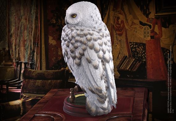 foto Hedwig - sova