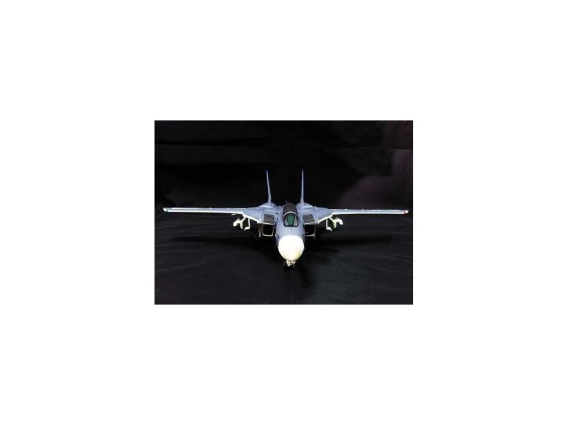 foto Witty - F-14A Tomcat, VF-143, USS AMERICA 1977