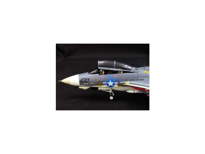 foto Witty - F-14A Tomcat, VF-143, USS AMERICA 1977