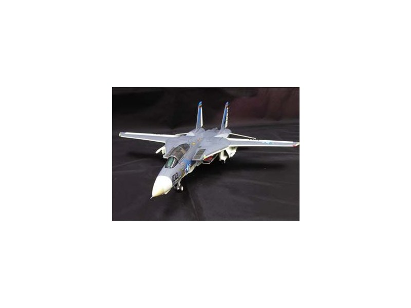 foto Witty - F-14A Tomcat, VF-143, USS AMERICA 1977