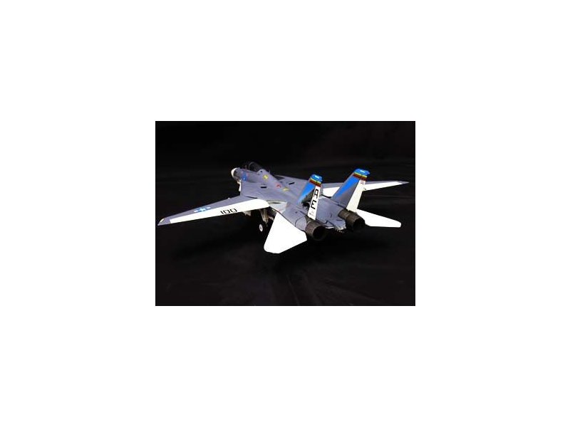 foto Witty - F-14A Tomcat, VF-143, USS AMERICA 1977