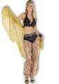 Belly Dancer