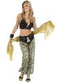 Belly Dancer