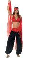 Belly Dancer